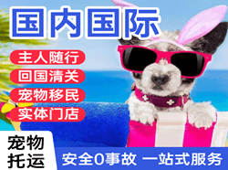 牡丹江航空运输国际宠物托运 【国